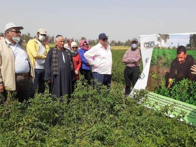 ”القومي للجينات” ينفذ يوم حقل بمحطتي البحوث الزراعية ”سدس” و”الجميزة”