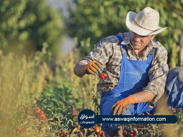 تراجع مقياس الاقتصاد الزراعي الأمريكي بشكل حاد في مايو