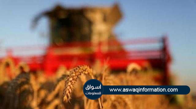 ”France AgriMer” ترفع توقعاتها لمخزون القمح الفرنسي خلال موسم 2020/21