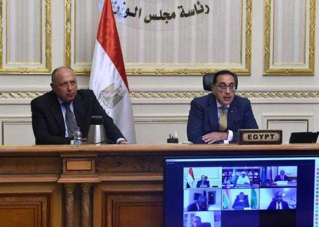 مصر مستعدة لتسخير إمكاناتها للمساندة مبادرة تصنيع اللقاح فى القارة الأفريقية