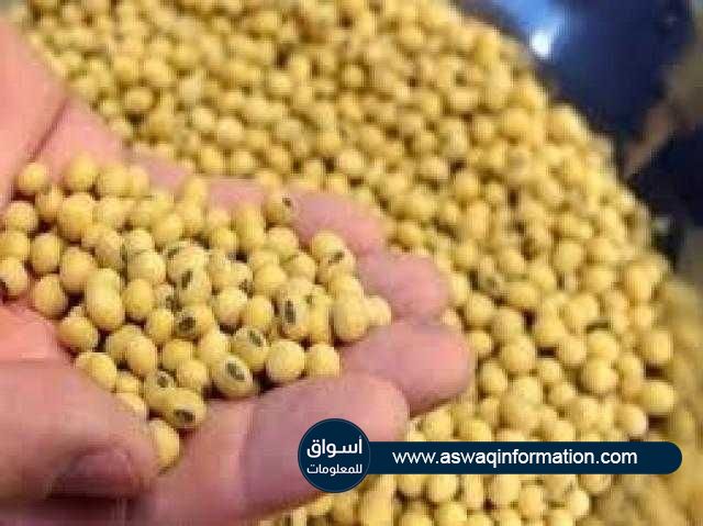 تراجع إنتاج الأرجنتين من فول الصويا بنسبة 10% خلال الموسم الحالي