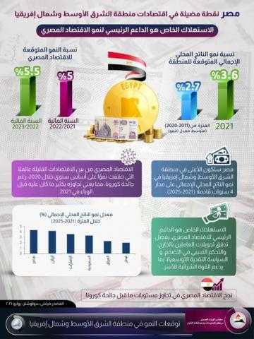 وكالة «فيتش»: مصر نقطة مضيئة بين اقتصادات منطقة الشرق الأوسط وشمال إفريقيا