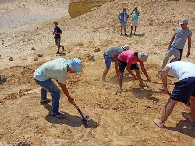 البيئة تنظم تدريب لإعداد كوادر شابة في مجال اكتشاف وصيانة الحفريات للعام الثالث على التوالى