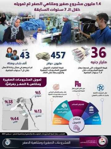 معلومات الوزراء : تمويل 1,4 مليون مشروع صغير ومتناهي الصغر خلال ال 7 سنوات السابقة