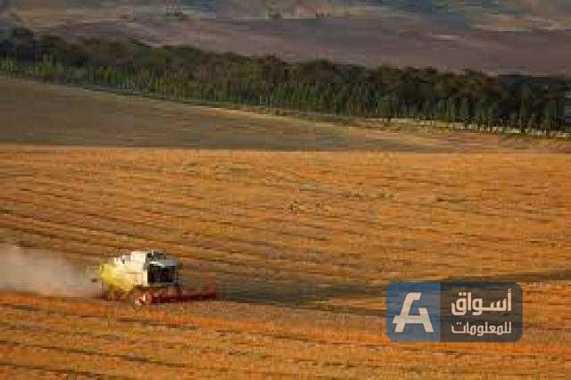 الطقس الجاف يهدد المحصول الشتوي في روسيا وأوكرانيا