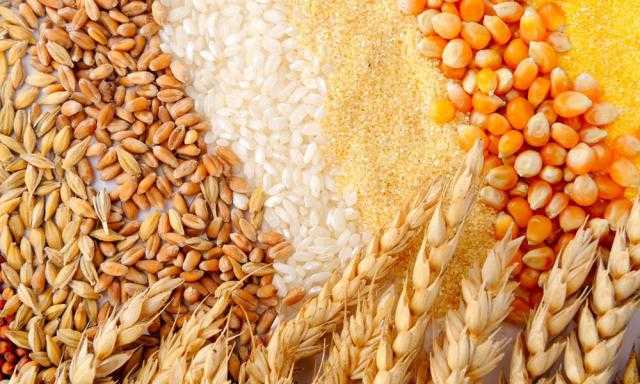 «GrainCorp» الأسترالية تحذر من تعطل صادرات الحبوب الزراعية عبر البحر الأسود لعدة سنوات