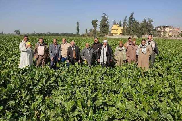 زراعة الشرقية تُنفذ مدرسة حقلية إرشادية عن بنجر السكر بمركز فاقوس