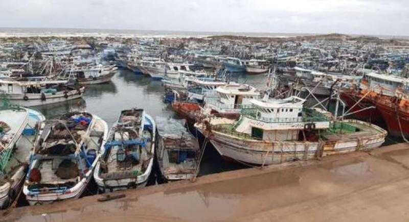 اليوم .. سريان قرار حظر الصيد ومنع تداول وبيع الأسماك في البحر الأحمر