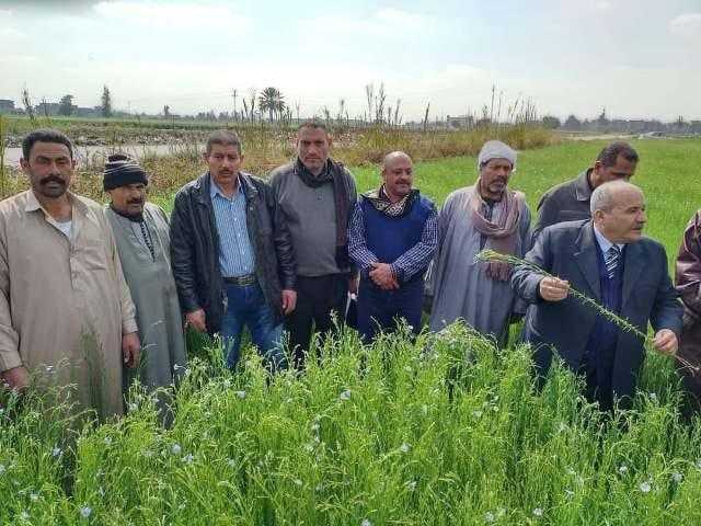 زراعة الشرقية تُنفذ يوم حقلي إرشادي لمزارعي قرى ديرب نجم