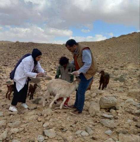 «بحوث الصحراء» يدعم المزارعين وصغار المربين بقوافل طبية بيطرية بشمال سيناء