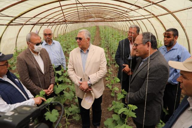 وزير الزراعة ومحافظ القليوبية يتفقدان صوب المشروع القومي لإنتاج التقاوي بقها