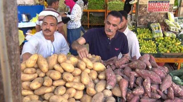 مساعد وزير التموين يوضح القاعدة المربعة لتحقيق الأمن الغذائي