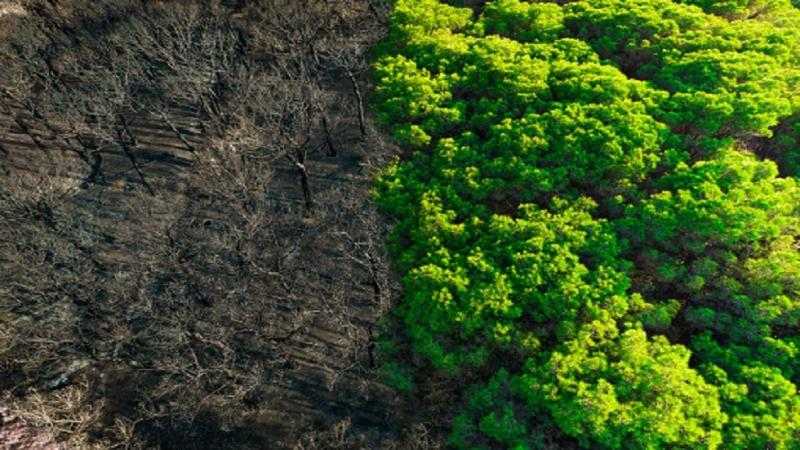 غضب أفريقي قبل محادثات قمة المناخ في مصر  COP27 .. فما الأمر؟