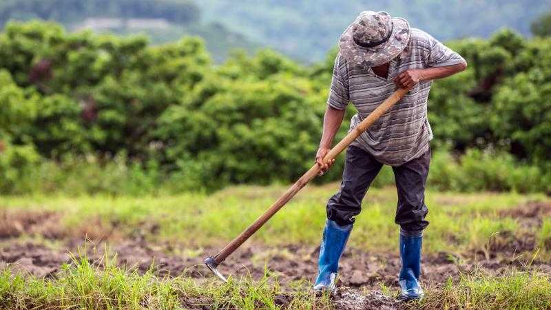 الصين تخصص 44 مليون دولار لدعم القطاع الزراعي