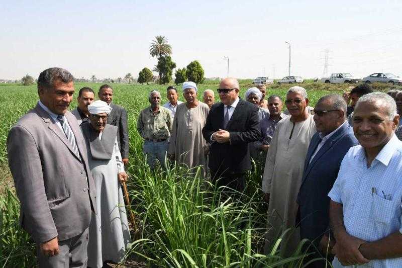 محافظ قنا يتابع نموذجا لزراعة قصب السكر بنظام الشتل بالأنسجة - صور