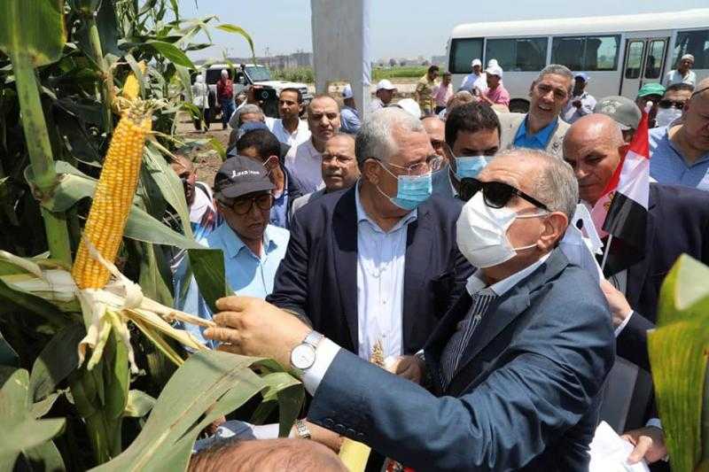 القصير: توجيهات من الرئيس السيسي بالتوسع في التقاوي المعتمدة والبحوث التطبيقية لزيادة الإنتاج - صور