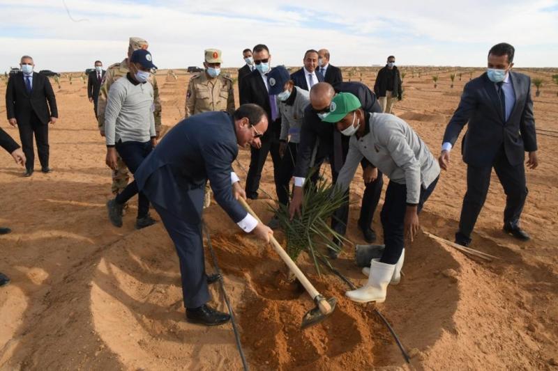 الجمهورية الجديدة تبهر الشعب المصري بزراعة «100 مليون شجرة»