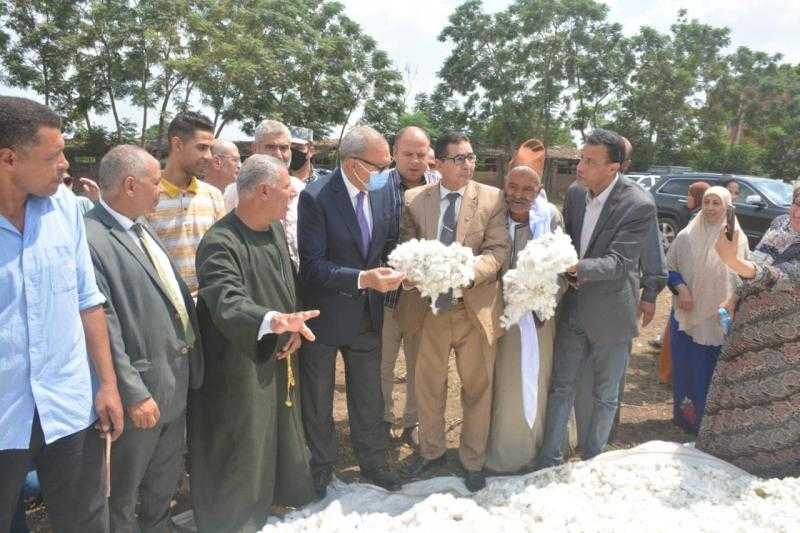 محافظ القليوبية يشهد جني محصول القطن بأحد حقول كفر الشيخ| صور