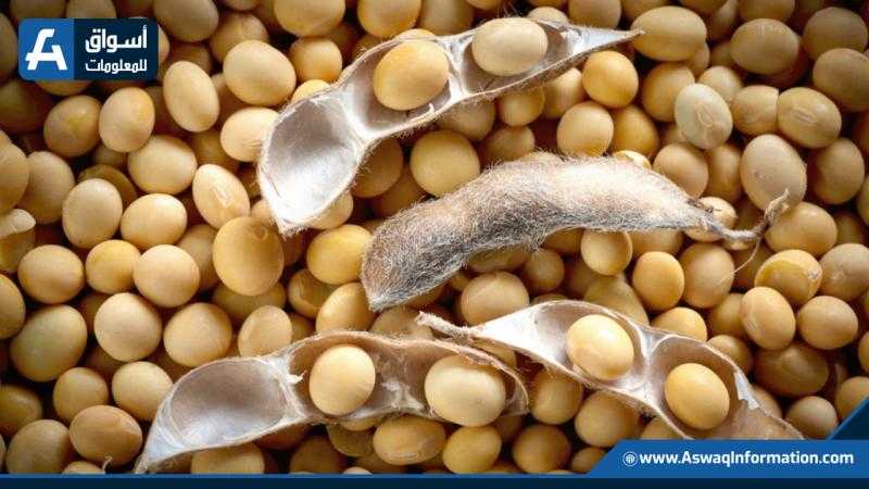 انخفاض ملحوظ فى أسعار بذرة الصويا الأوكرانى خلال يوليو الجاري