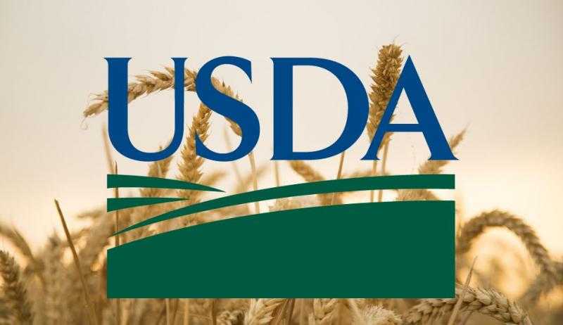 بمقدار 50 مليون بوشل.. «USDA» تقلص تقديرات صادرات القمح الأمريكية