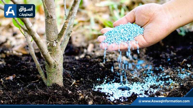 «بوتين»: روسيا مستعدة لزيادة صادرات الأسمدة