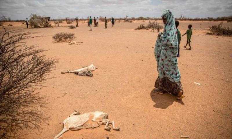 برنامج الغذاء العالمي يحذر من أزمة مجاعة حادة في الصومال