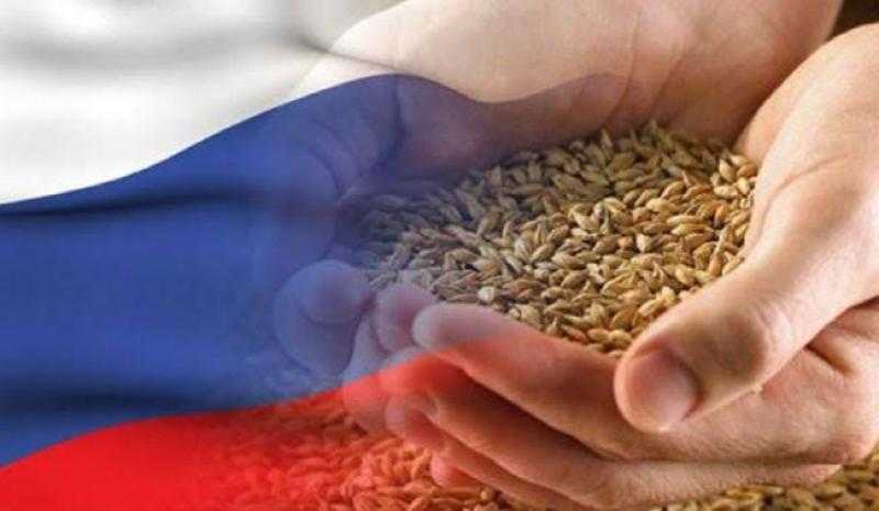 مصر أكبر مستورد.. صادرات الحبوب الروسية تسجل 2.8 مليون طن خلال 20 يومًا