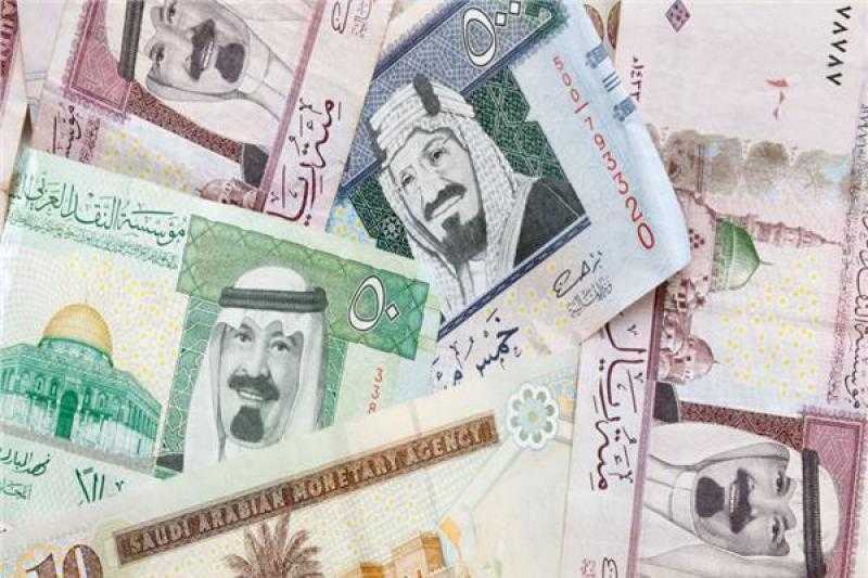 أسعار العملات العربية اليوم مقابل الجنيه.. «الدينار الكويتي» بـ100.65 جنيه