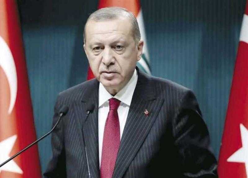 أردوغان: وزيرا الخارجية التركي والروسي يتناقشان تمديد اتفاقية ممر الحبوب