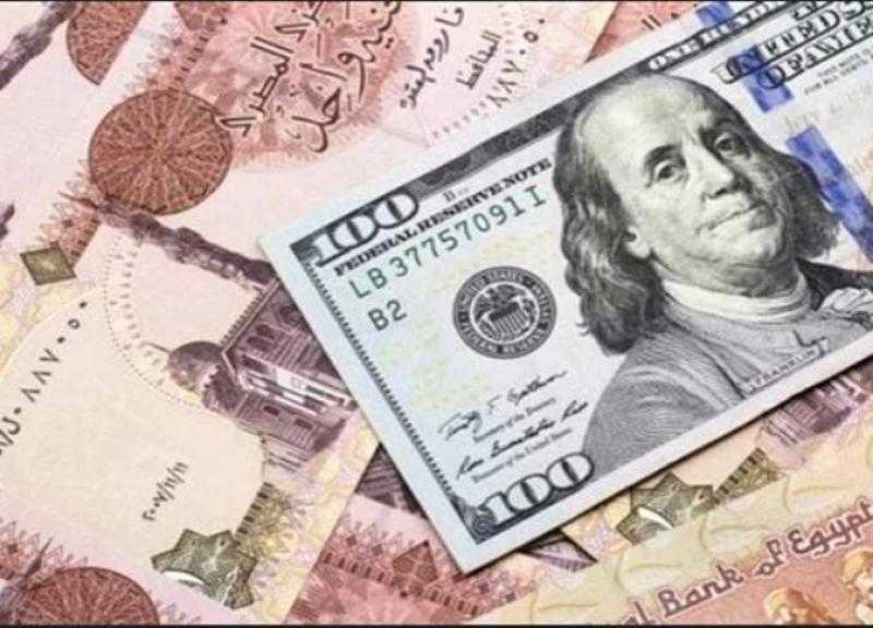 سعر الدولار اليوم في مصر الخميس 8 يونيو 2023.. هدوء الأخضر