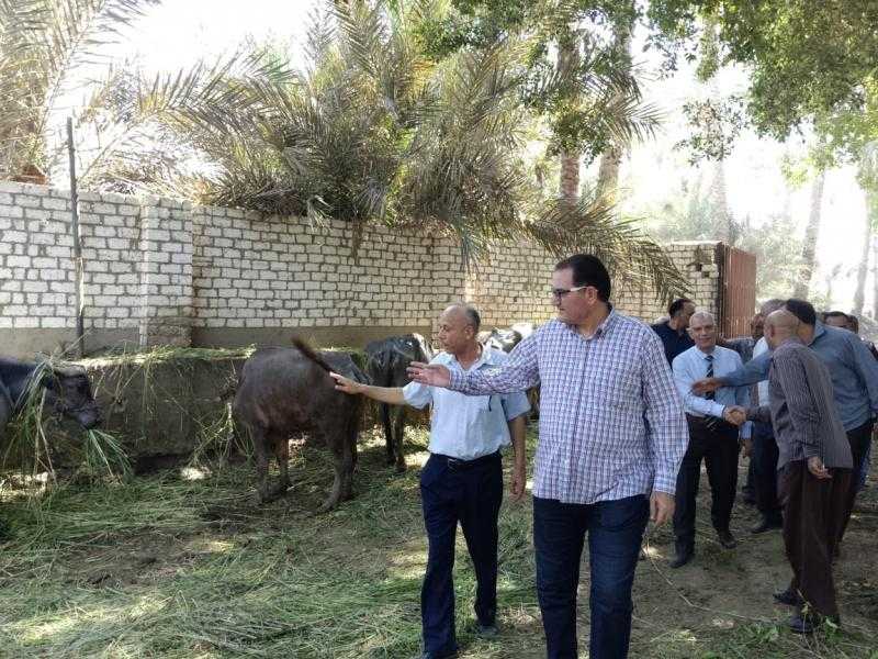 «الزراعة» تتابع أصولها بالقناطر الخيرية لتحقيق أقصى عائد اقتصادي