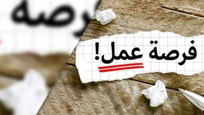 فرص عمل للشباب في 6 محافظات برواتب مجزية.. اعرف الشروط والمميزات