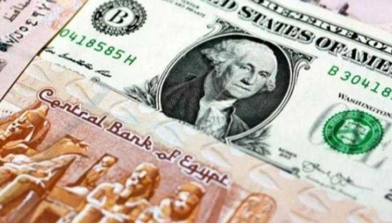 سعر الدولار اليوم الأربعاء 13 ديسمبر في مصر.. ثبات بالبنوك