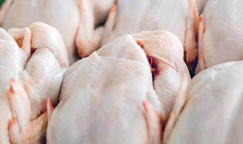 صادرات لحوم الدجاج البرازيلية تتراجع 2.3% خلال يونيو الماضي