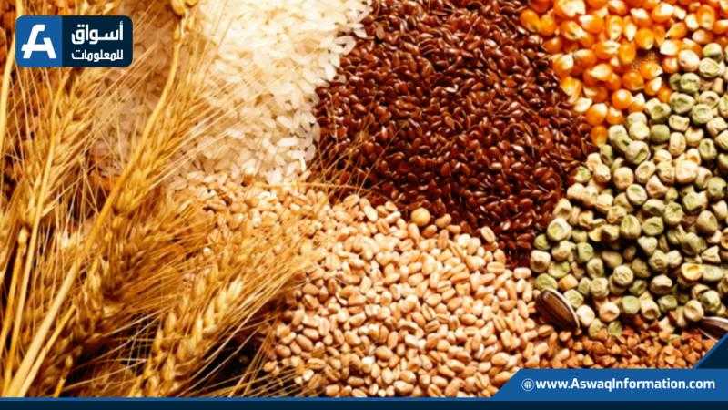حصاد الحبوب الأوكرانية تصل إلى 10 مليون طن هذا الموسم