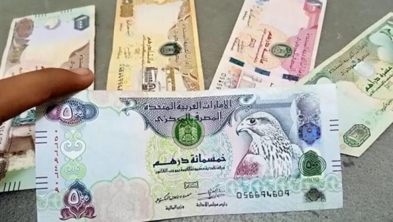 أسعار العملات العربية اليوم 29-2-2024 في بنكي مصر والأهلي