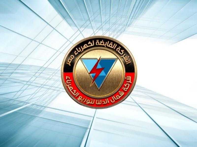 الرقابة المالية: تعديل صندوق تأمين نهاية الخدمة للعاملين بشركة شمال الدلتا للكهرباء