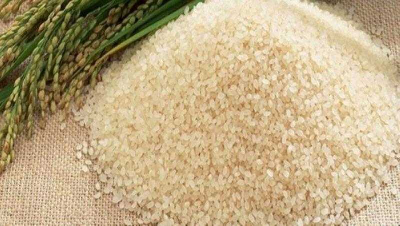 سعر الأرز الشعير اليوم الإثنين عند التاجر.. مش هتصدق بكام