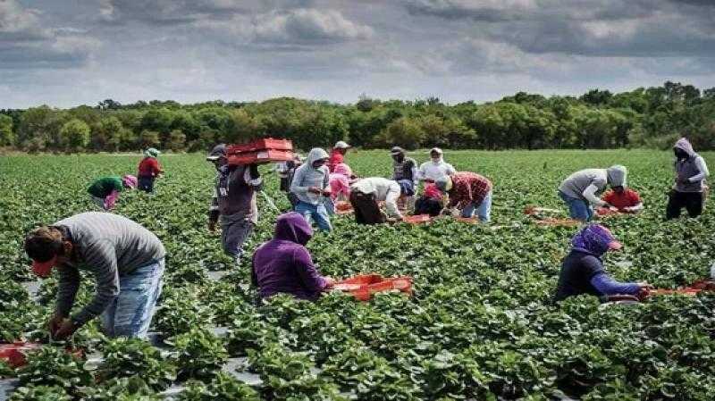 ”مدبولي” يستعرض أهداف الحكومة في القطاع الزراعي