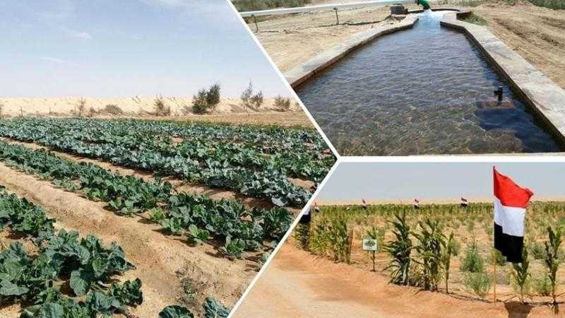 جهود ونشاط الجهاز الوطني لتنمية شبه جزيرة سيناء خلال النصف الأول من 2024