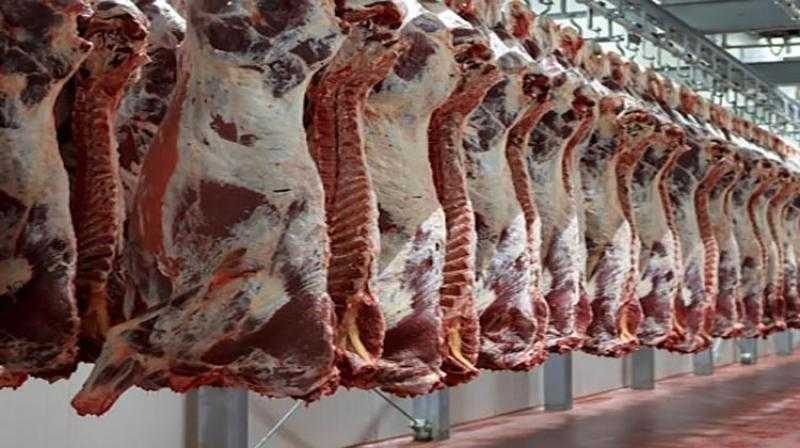شعبة القصابين تكشف تطورات أسعار اللحوم الحمراء فى الأسواق