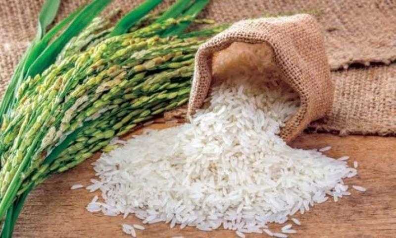 مصادر: الهند ستخفض الحد الأدنى لسعر تصدير الأرز البسمتي