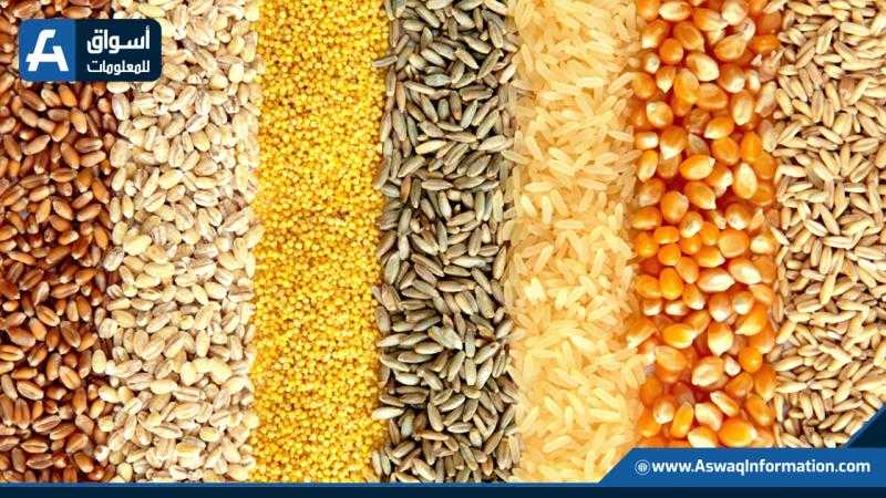 «IGC» يرفع توقعاته للإنتاج والاستهلاك العالمي من الحبوب خلال 2025