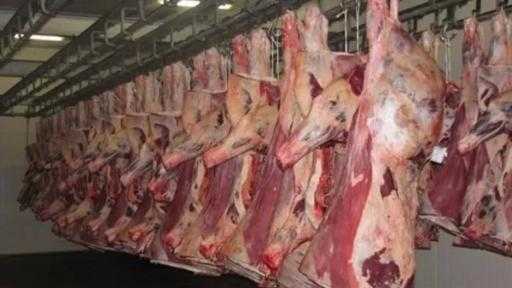 ”الزراعة” تتوقع ارتفاع إنتاج مصر من اللحوم إلى 600 ألف طن و7... ”الزراعة” تتوقع ارتفاع إنتاج مصر من اللحوم إلى 600 ألف طن و7 ملايين طن من الألبان خلال 2025