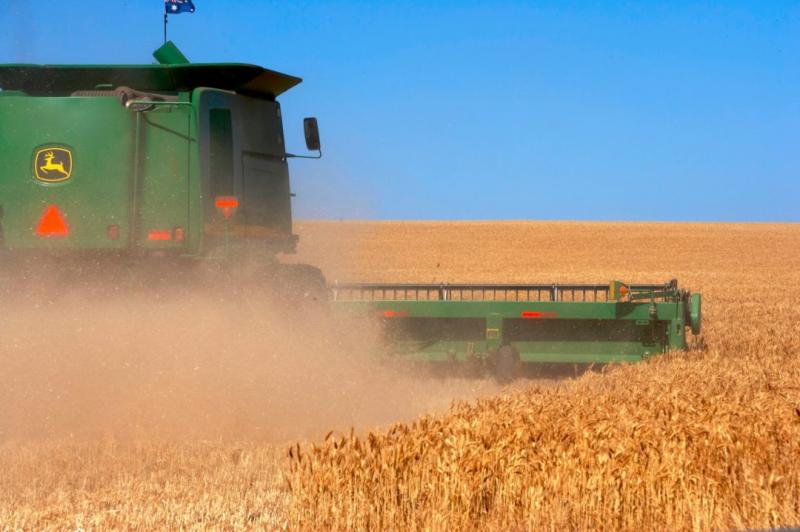 حصاد الحبوب الأوكرانية