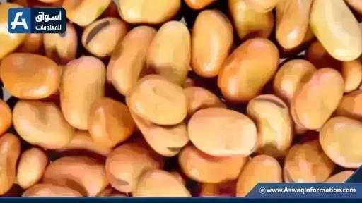 سعر الفول اليوم الأحد عند التاجر.. أردب الفول البلدي بكام سعر الفول اليوم الأحد عند التاجر.. أردب الفول البلدي بكام