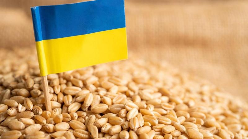 5 دول أوروبية تمدد حظر استيراد أربعة أنواع من الحبوب الأوكرانية
