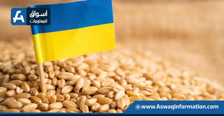 شركة استشارية: حصاد المحاصيل الشتوية الأوكرانية سيبدأ مبكرًا هذا العام