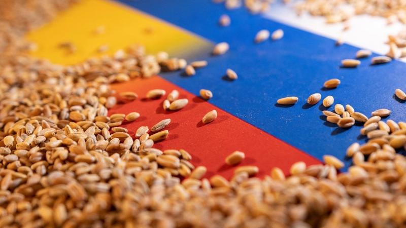 موسكو: سندرس خطواتنا القادمة قبل موعد انتهاء صلاحية صفقة الحبوب