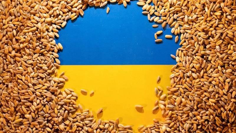أوكرانيا وكندا يبحثان تشغيل ممر الحبوب في البحر الأسود